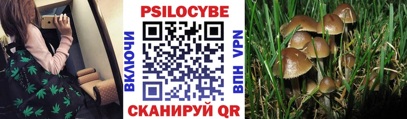 купить цена Южноуральск MEGA ТОР Галлюциногенные грибы Cubensis