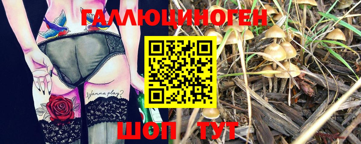Южноуральск  Псилоцибиновые грибы ЛСД  Вход с VPN 